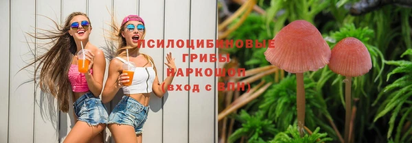 мет Надым