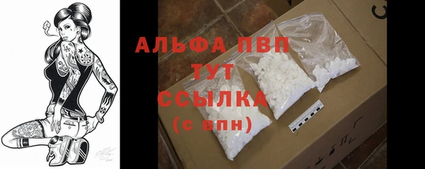 стаф Алексин