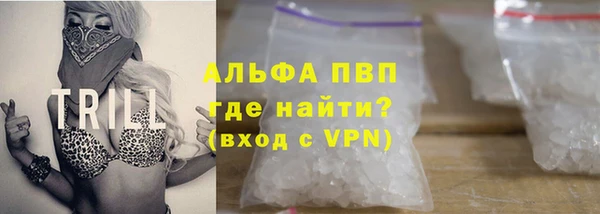 стаф Алексин